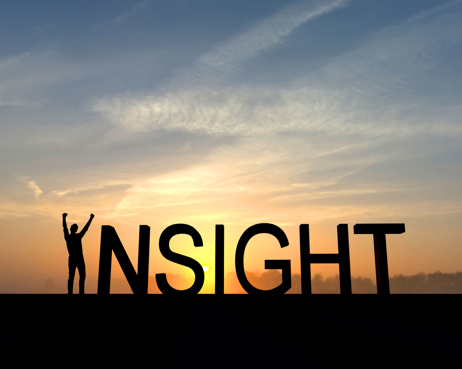Insight success silhouette